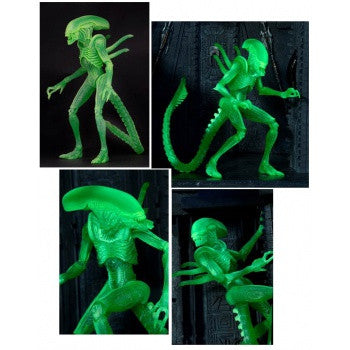 AvP - Alien Warrior (Glow in Dark) Figure - Cyber City Comix