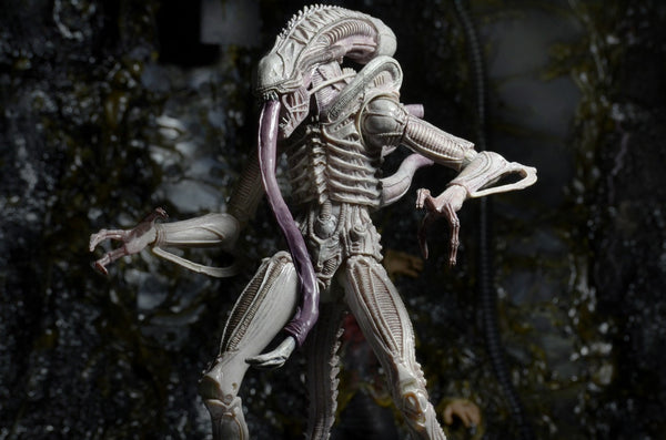 Aliens Series 9 - Albino Xenomorph figure - Cyber City Comix
