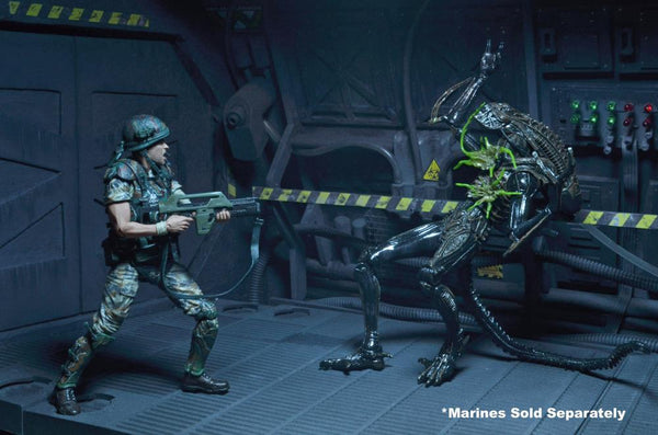 Aliens Series 12 - Xenomorph Warrior (Battle Damaged) figure