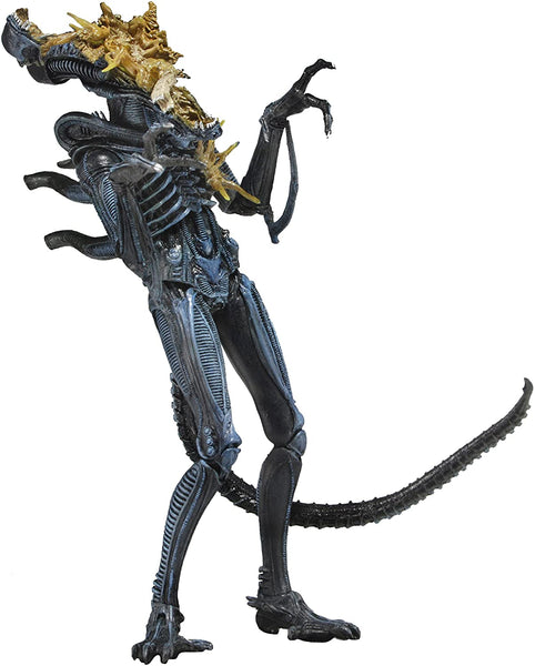 Aliens Series 12 - Xenomorph Warrior (Battle Damaged) figure