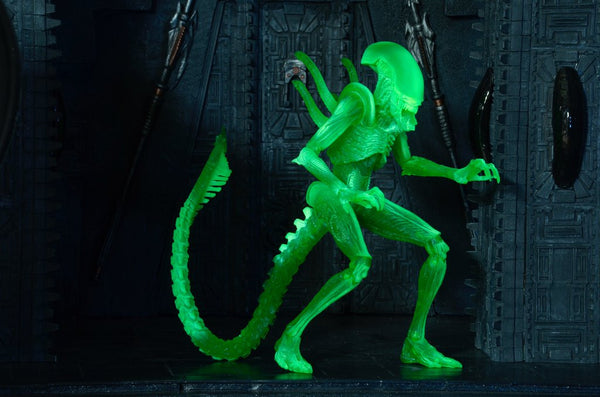 AvP - Alien Warrior (Glow in Dark) Figure - Cyber City Comix