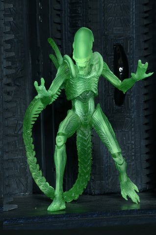 AvP - Alien Warrior (Glow in Dark) Figure - Cyber City Comix