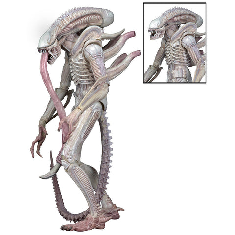 Aliens Series 9 - Albino Xenomorph figure - Cyber City Comix